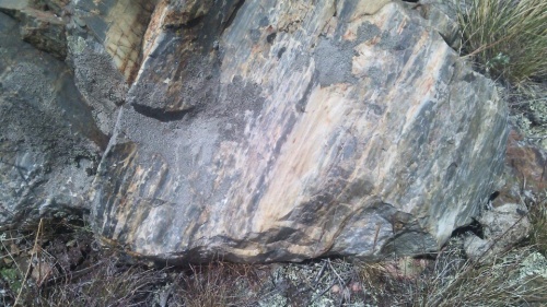 Гигантские зелёные валуны для ландшафтного дизайна весом более 5 тонн купить в Республике Татарстан